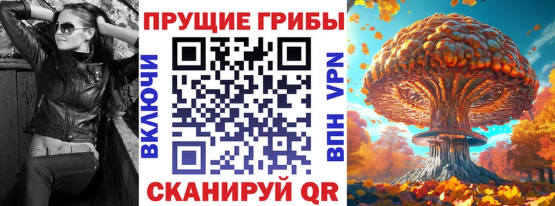 наркота  Новая Ладога  ссылка на мегу ССЫЛКА  Псилоцибиновые грибы MAGIC MUSHROOMS 