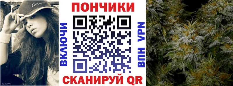 Бошки марихуана Bruce Banner  закладки  Новая Ладога 